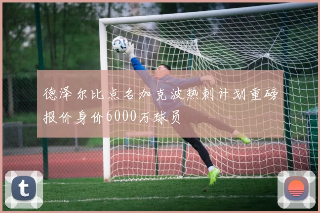 德泽尔比点名加克波热刺计划重磅报价身价6000万球员